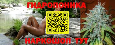 наркотики Шебекино