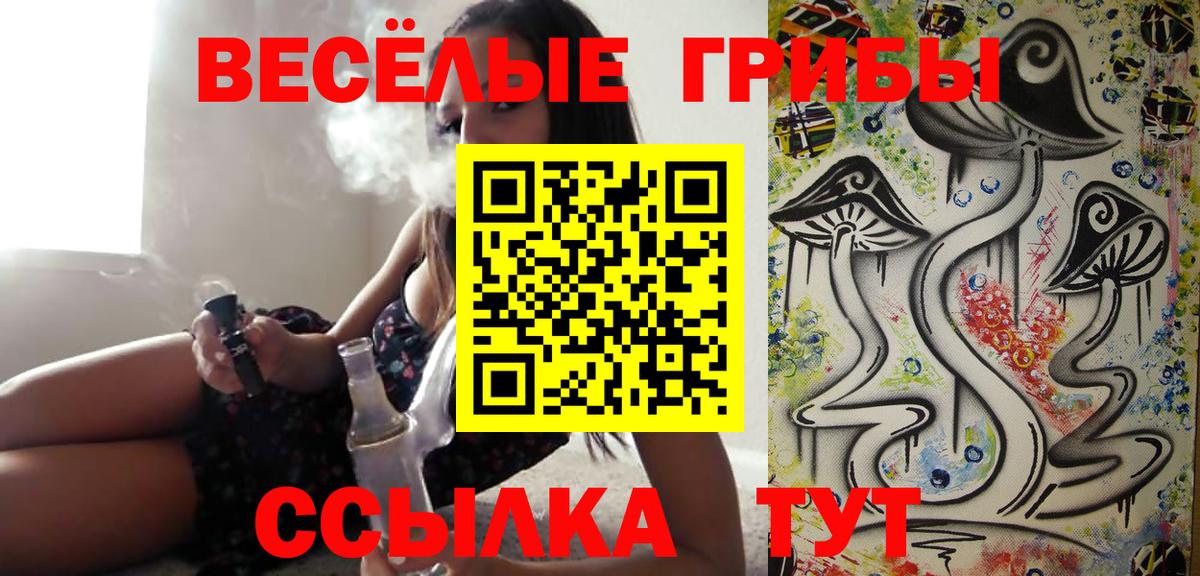 Псилоцибиновые грибы Psilocybe Реж